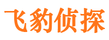 堆龙德庆市侦探调查公司